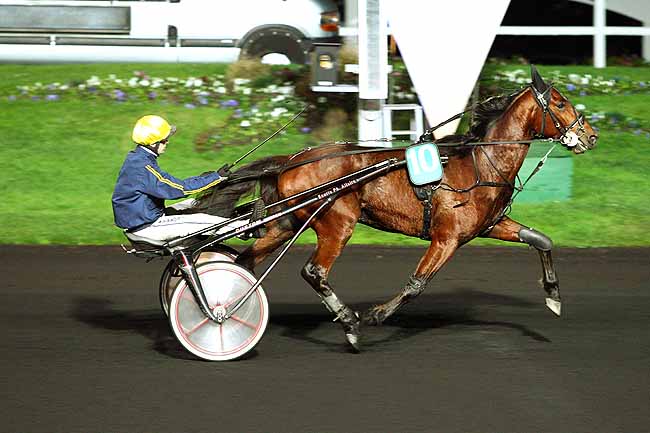 Photo d'arrivée de la course pmu PRIX OURASI à PARIS-VINCENNES le Vendredi 4 décembre 2015