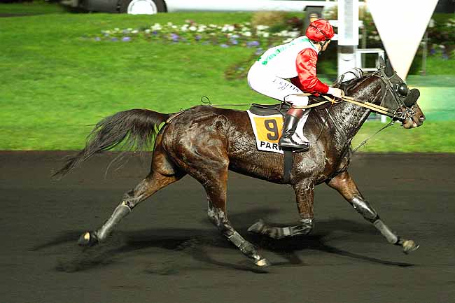 Photo d'arrivée de la course pmu PRIX MELUSINA à PARIS-VINCENNES le Vendredi 4 décembre 2015