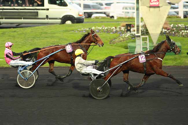 Photo d'arrivée de la course pmu LETROT OPEN DES REGIONS - 5 ANS à PARIS-VINCENNES le Dimanche 6 décembre 2015