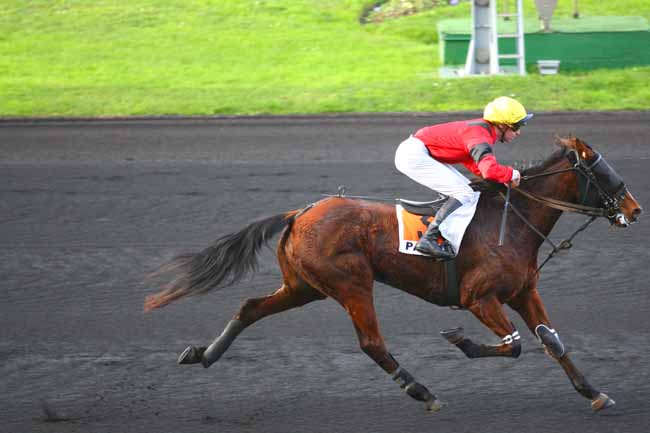Photo d'arrivée de la course pmu PRIX DE PARTHENAY à PARIS-VINCENNES le Lundi 7 décembre 2015