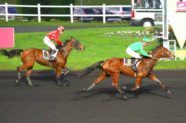 Photo d'arrivée de la course pmu PRIX DE MERAL à PARIS-VINCENNES le Lundi 7 décembre 2015
