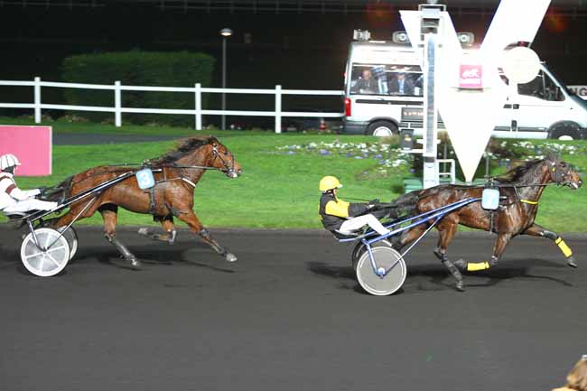 Photo d'arrivée de la course pmu PRIX DES DAHLIAS à PARIS-VINCENNES le Lundi 7 décembre 2015