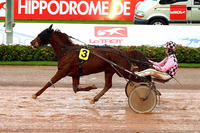 Photo d'arrivée de la course pmu PRIX DES MARJOLAINES (GR B) à CABOURG le Mardi 8 décembre 2015