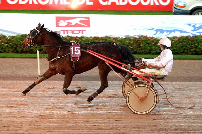 Photo d'arrivée de la course pmu PRIX D'AMBRIERES à CABOURG le Mardi 8 décembre 2015
