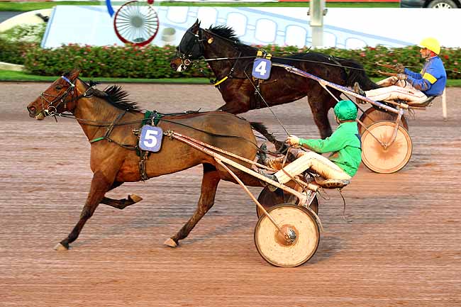 Photo d'arrivée de la course pmu PRIX DES TILLEULS à CABOURG le Mardi 8 décembre 2015