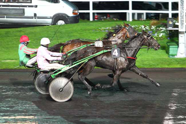 Photo d'arrivée de la course pmu PRIX TAYJETA à PARIS-VINCENNES le Mardi 8 décembre 2015