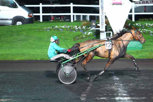 Photo d'arrivée de la course pmu PRIX THIA à PARIS-VINCENNES le Mardi 8 décembre 2015