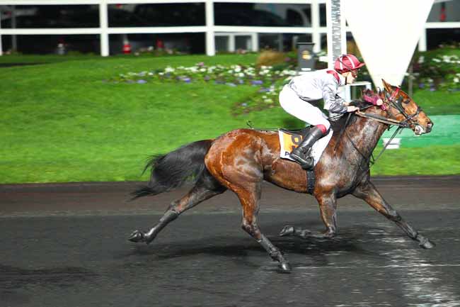 Photo d'arrivée de la course pmu PRIX VIBILIA à PARIS-VINCENNES le Mardi 8 décembre 2015