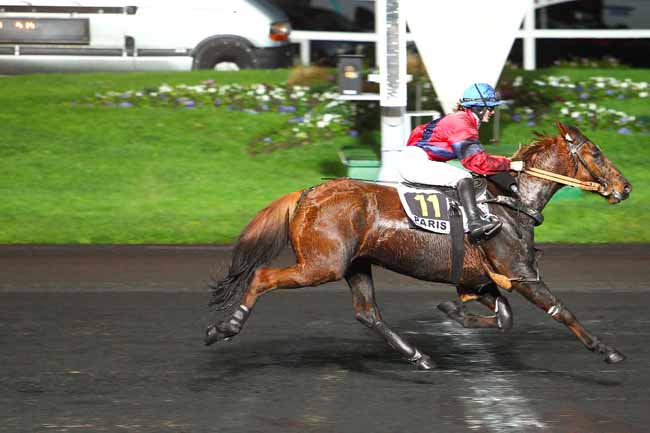 Photo d'arrivée de la course pmu PRIX URSA à PARIS-VINCENNES le Mardi 8 décembre 2015