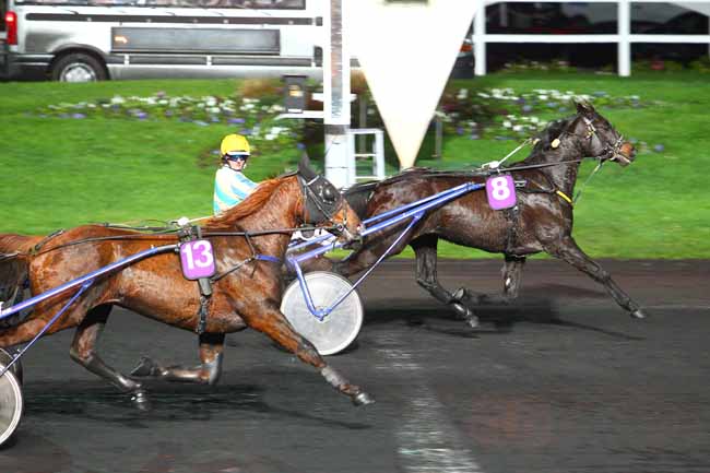 Photo d'arrivée de la course pmu PRIX FERONIA à PARIS-VINCENNES le Mardi 8 décembre 2015