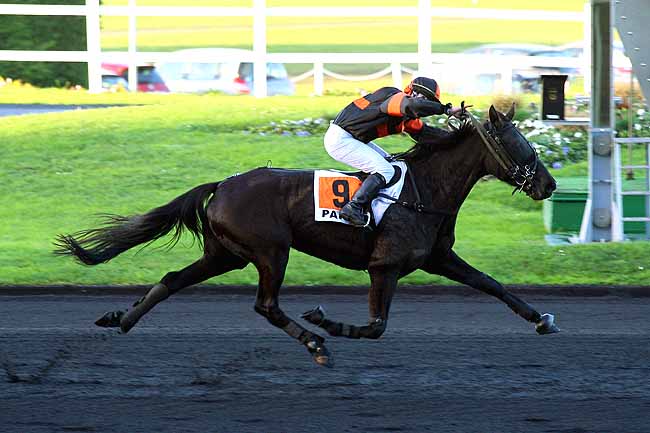 Photo d'arrivée de la course pmu PRIX DE VICHY à PARIS-VINCENNES le Mercredi 9 décembre 2015