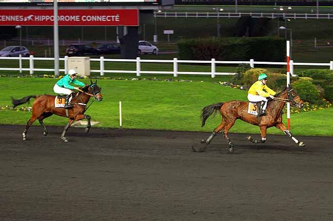 Photo d'arrivée de la course pmu PRIX DE THOUARS à PARIS-VINCENNES le Jeudi 10 décembre 2015