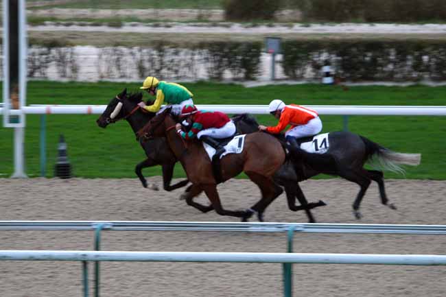 Photo d'arrivée de la course pmu PRIX DES COTTAGES à DEAUVILLE le Vendredi 11 décembre 2015