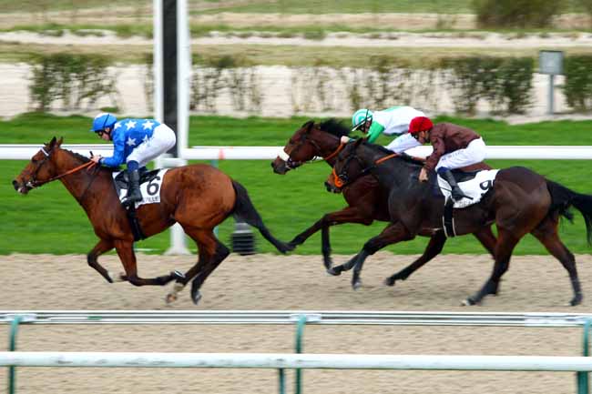Photo d'arrivée de la course pmu PRIX DE VILLEPELEE à DEAUVILLE le Vendredi 11 décembre 2015