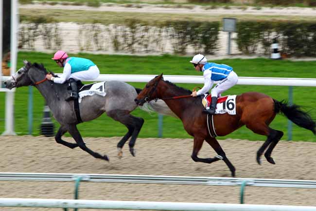 Photo d'arrivée de la course pmu PRIX DU PONT DE LA PIERRE à DEAUVILLE le Vendredi 11 décembre 2015