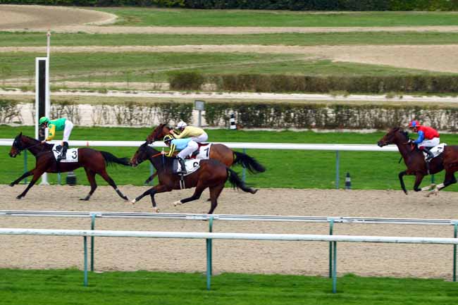 Photo d'arrivée de la course pmu PRIX DE ROIVILLE à DEAUVILLE le Vendredi 11 décembre 2015