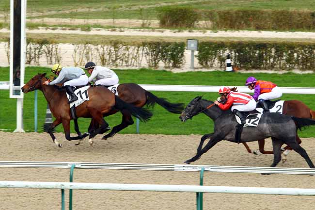 Photo d'arrivée de la course pmu PRIX DE LA HAUQUERIE (PELOTON A) à DEAUVILLE le Vendredi 11 décembre 2015