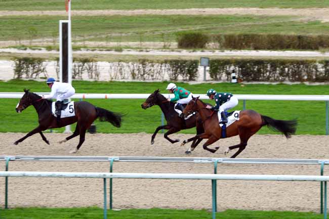 Photo d'arrivée de la course pmu PRIX DE LA HAUQUERIE (PELOTON B) à DEAUVILLE le Vendredi 11 décembre 2015