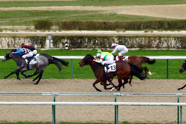 Photo d'arrivée de la course pmu PRIX DE LA PLAGE à DEAUVILLE le Vendredi 11 décembre 2015