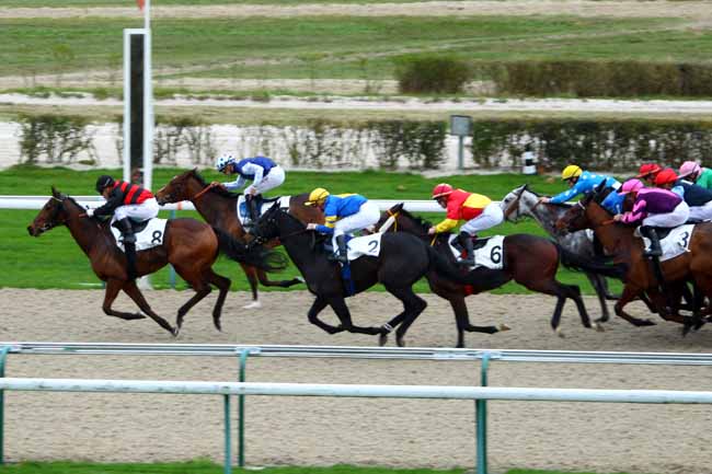 Photo d'arrivée de la course pmu PRIX DES VAGUES à DEAUVILLE le Vendredi 11 décembre 2015