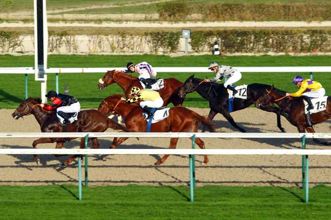 Photo d'arrivée de la course pmu PRIX DU PAYS D'OUCHE à DEAUVILLE le Samedi 12 décembre 2015