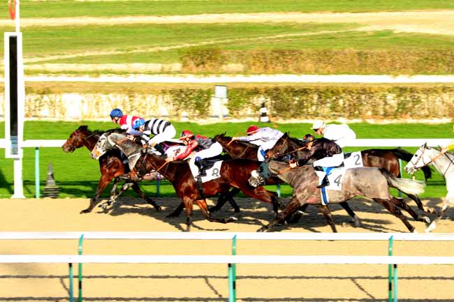 Photo d'arrivée de la course pmu PRIX LUTHIER à DEAUVILLE le Samedi 12 décembre 2015