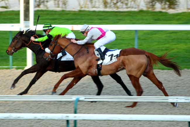 Photo d'arrivée de la course pmu PRIX DE RUGLES à DEAUVILLE le Samedi 12 décembre 2015