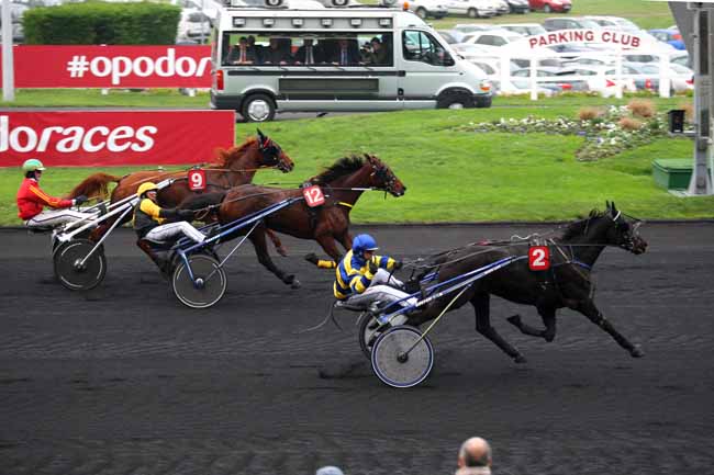 Photo d'arrivée de la course pmu PRIX DE MANSLE à PARIS-VINCENNES le Dimanche 13 décembre 2015