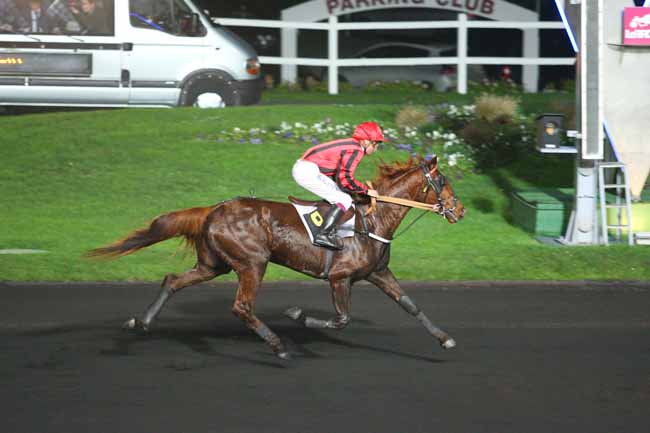 Photo d'arrivée de la course pmu PRIX DE ROANNE à PARIS-VINCENNES le Dimanche 13 décembre 2015