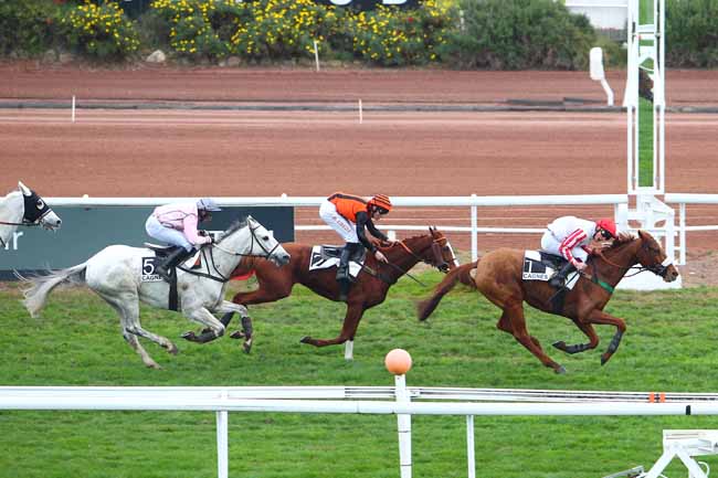 Photo d'arrivée de la course pmu PRIX HENRI VERAN à CAGNES-SUR-MER le Lundi 14 décembre 2015
