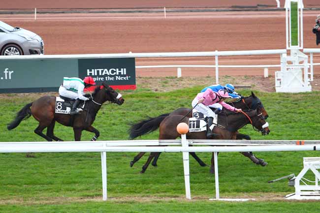 Photo d'arrivée de la course pmu PRIX DU COL DE FENESTRE à CAGNES-SUR-MER le Lundi 14 décembre 2015