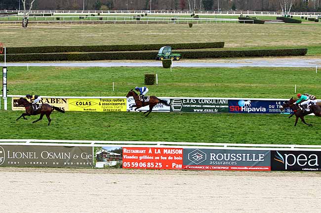 Photo d'arrivée de la course pmu PRIX DE NAVARRENX à PAU le Mardi 15 décembre 2015