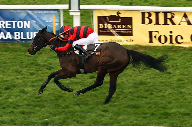 Photo d'arrivée de la course pmu PRIX GEORGES PASTRE à PAU le Mardi 15 décembre 2015