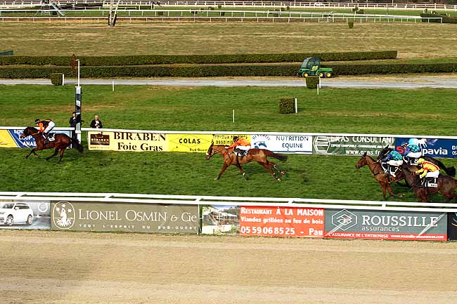 Photo d'arrivée de la course pmu PRIX JEAN LAMAYSOUETTE à PAU le Mardi 15 décembre 2015
