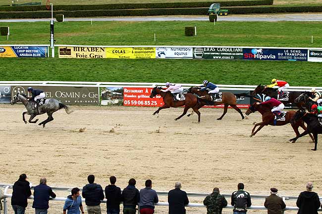 Photo d'arrivée de la course pmu PRIX DE LIMENDOUS à PAU le Mardi 15 décembre 2015