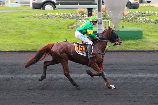 Photo d'arrivée de la course pmu PRIX DE FLORAC à PARIS-VINCENNES le Mardi 15 décembre 2015