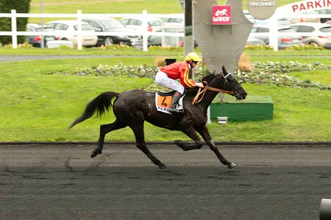 Photo d'arrivée de la course pmu PRIX DE ROSTRENEN à PARIS-VINCENNES le Mercredi 16 décembre 2015