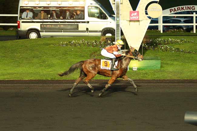 Photo d'arrivée de la course pmu PRIX DE MASSIAC à PARIS-VINCENNES le Mercredi 16 décembre 2015