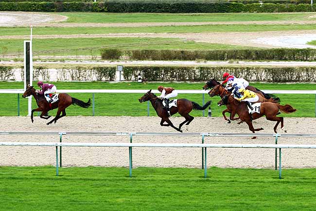 Photo d'arrivée de la course pmu PRIX DE PUTANGES à DEAUVILLE le Mercredi 16 décembre 2015