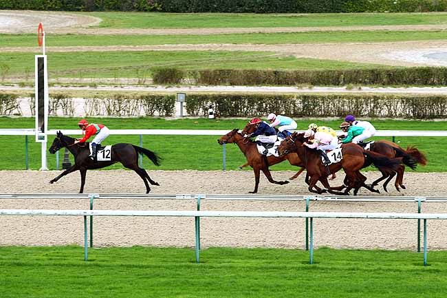 Photo d'arrivée de la course pmu PRIX DE GIBERVILLE à DEAUVILLE le Mercredi 16 décembre 2015