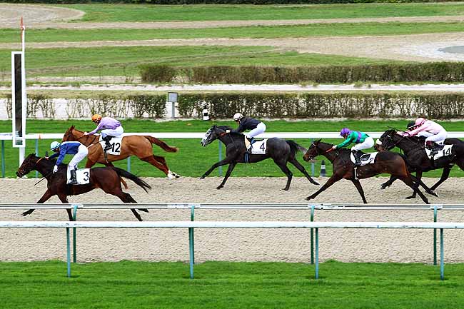 Photo d'arrivée de la course pmu PRIX DE LA PIERRE-AUX-FEES à DEAUVILLE le Mercredi 16 décembre 2015
