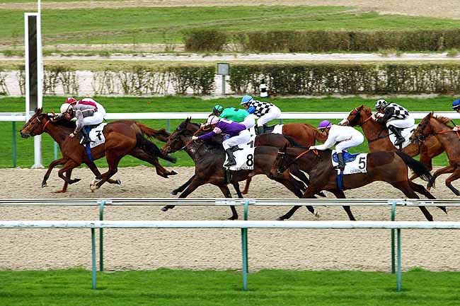 Photo d'arrivée de la course pmu PRIX DE BEAUCHENE à DEAUVILLE le Mercredi 16 décembre 2015
