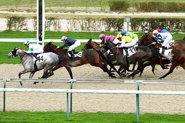 Photo d'arrivée de la course pmu PRIX DE CRENNES à DEAUVILLE le Mercredi 16 décembre 2015
