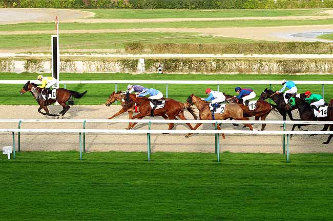 Photo d'arrivée de la course pmu PRIX DE DORELLES à DEAUVILLE le Mercredi 16 décembre 2015