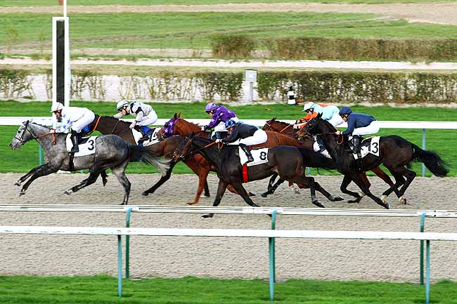 Photo d'arrivée de la course pmu PRIX DES CORDELLES à DEAUVILLE le Mercredi 16 décembre 2015