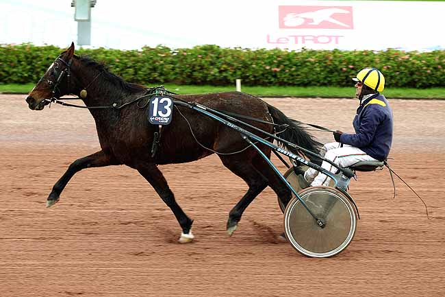 Photo d'arrivée de la course pmu PRIX DES SAPONAIRES à CABOURG le Jeudi 17 décembre 2015