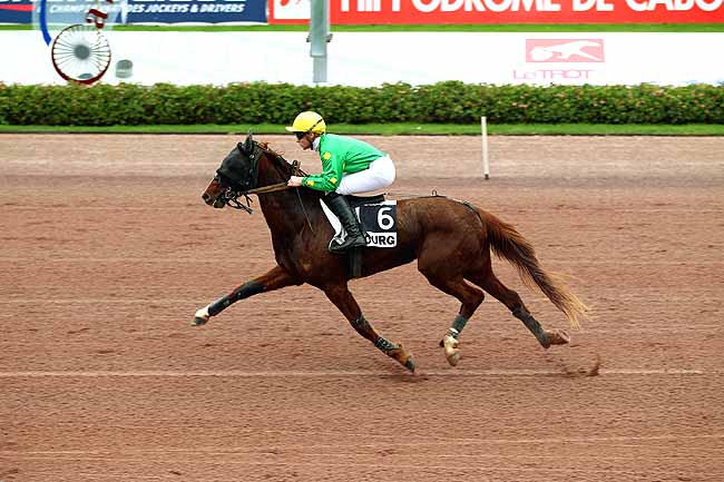 Photo d'arrivée de la course pmu PRIX DU BUIS à CABOURG le Jeudi 17 décembre 2015