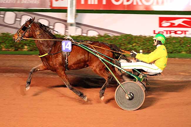 Photo d'arrivée de la course pmu PRIX DES ORTIES à CABOURG le Jeudi 17 décembre 2015