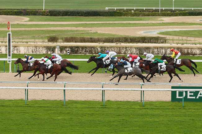 Photo d'arrivée de la course pmu PRIX DU TERTE à DEAUVILLE le Jeudi 17 décembre 2015