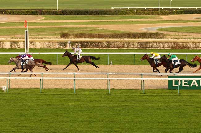 Photo d'arrivée de la course pmu PRIX DU GRAND CHESNAIE à DEAUVILLE le Jeudi 17 décembre 2015